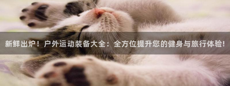 新宝gg龙腾