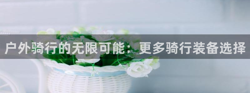 新宝gg刷流水