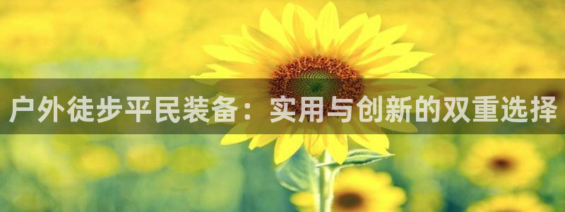 新宝gg手机登录官网
