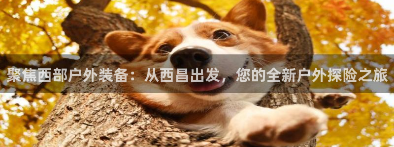 新宝gg娱乐怎么样