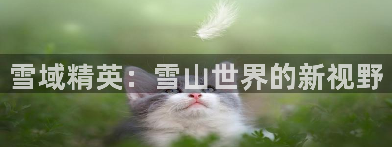 新宝gg论坛