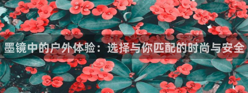 收新宝gg