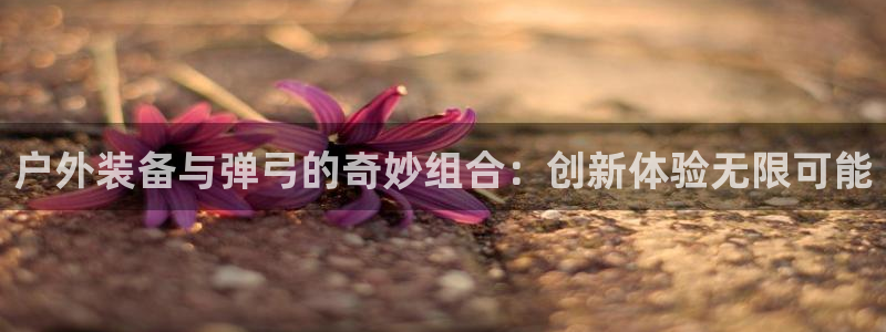 新宝gg 创造
