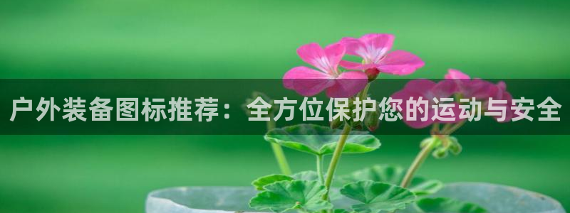 新宝GG娱
