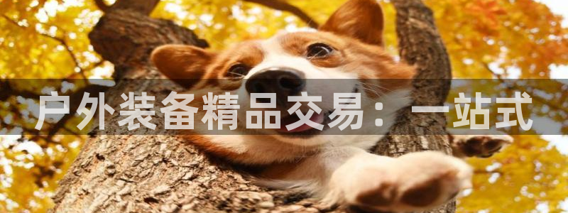 新宝gg打发