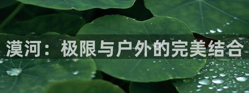 新宝gg画
