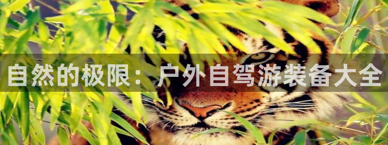 新宝GG类别78778