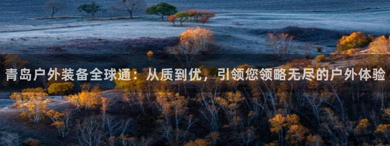 网站是新宝gg