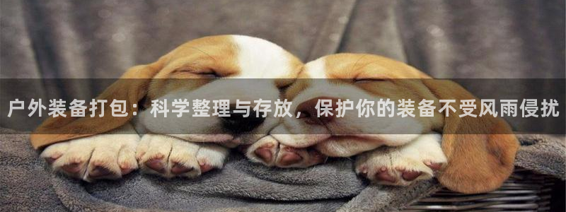 新宝gg网投