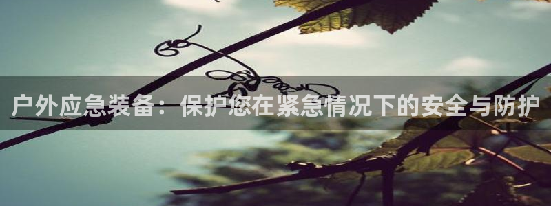 新宝哈哈gg