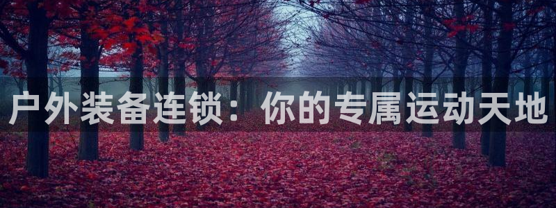 新宝gg娱乐平台