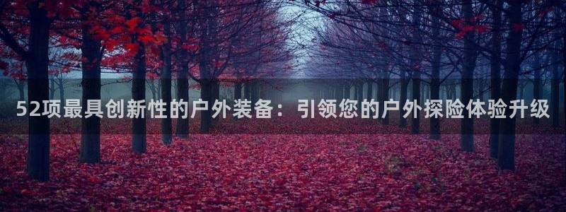 新宝GG冰冰