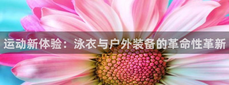 新宝gg娱乐平台