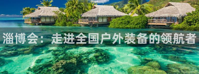 新宝gg龙腾