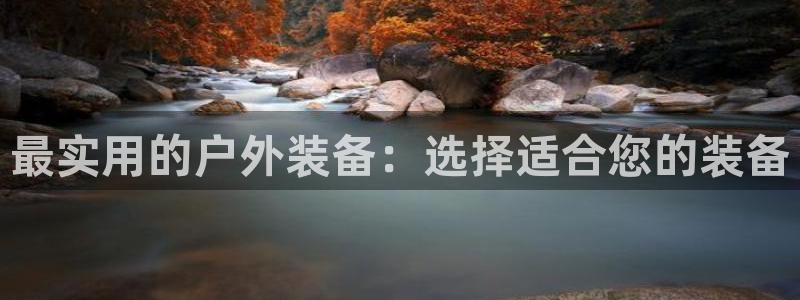 新宝gg代理条件