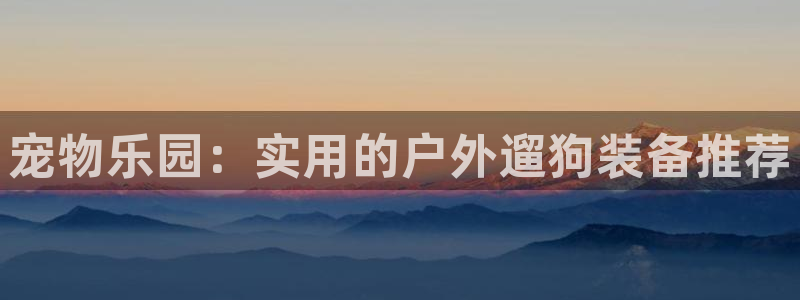 新宝gg老板