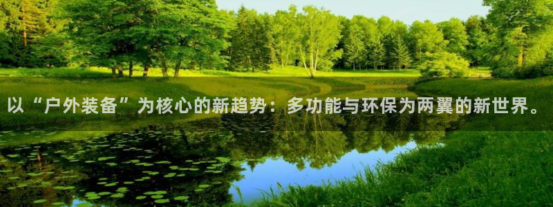 新宝gg入口网址