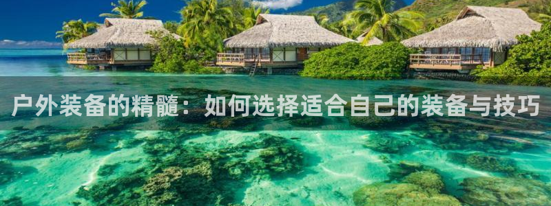 新宝gg提点