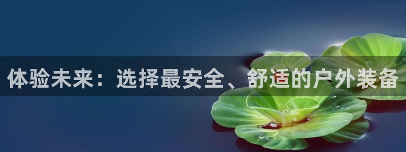 新宝gg怎样