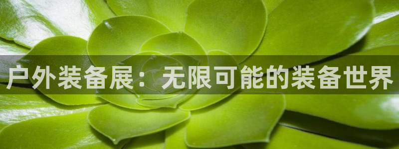 新宝gg 登陆
