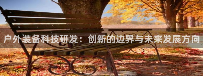 新宝gg真的