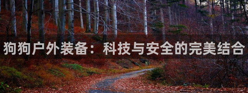 新宝gg提点