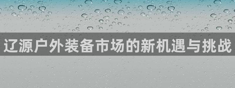 新宝gg官方下载