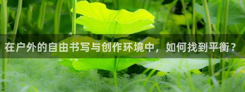 新宝GG玩家
