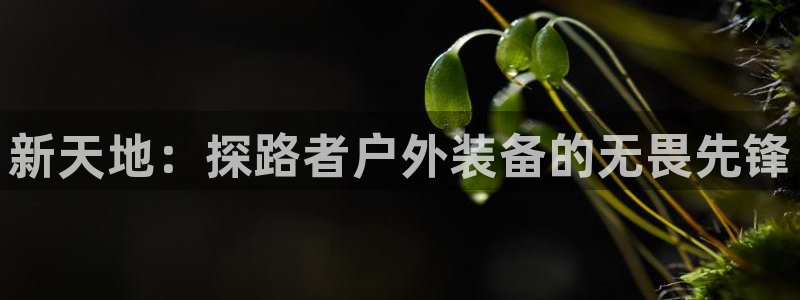 新宝gg玩