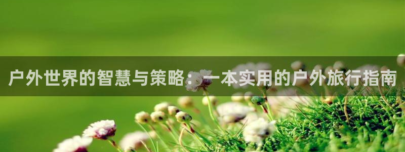 新宝gg正规