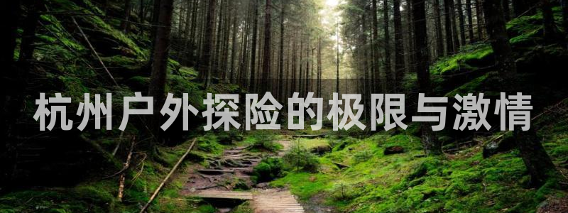新宝GG都有哪些计划