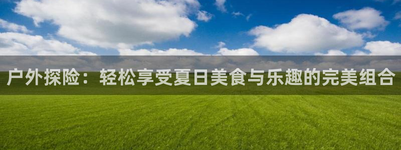 新宝gg软件