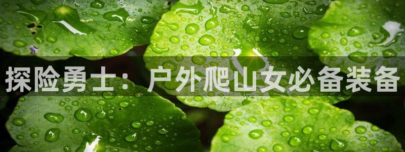 新宝gg挣钱