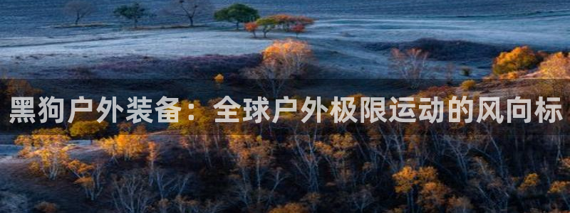 新宝gg主