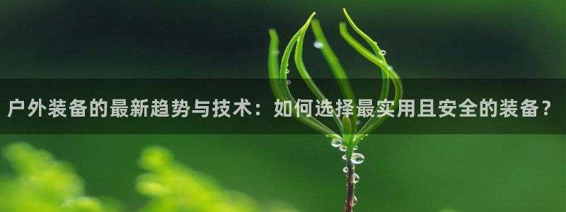 新宝平台gg