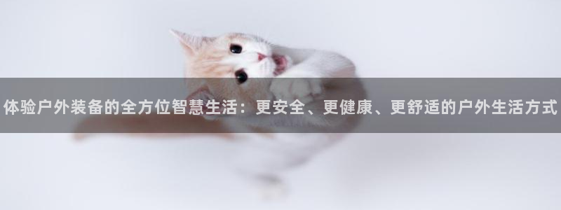 新宝gg挂机app