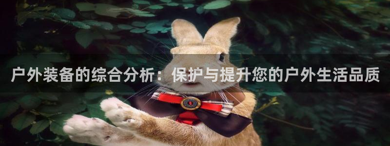 新宝gg吧