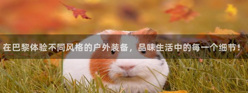 新宝gg总部