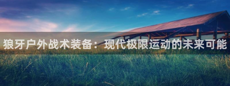 行新宝gg
