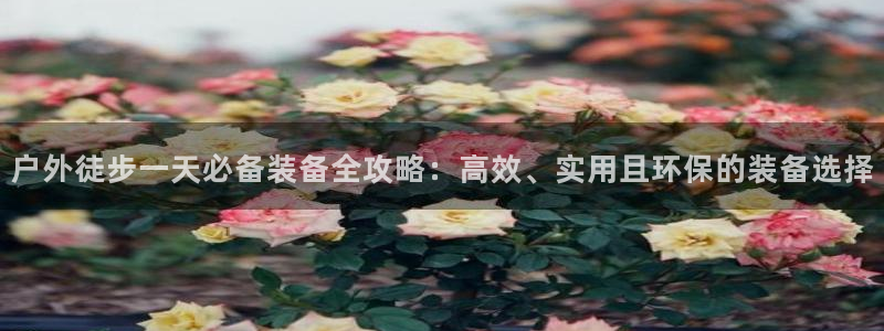新宝GG专业团队