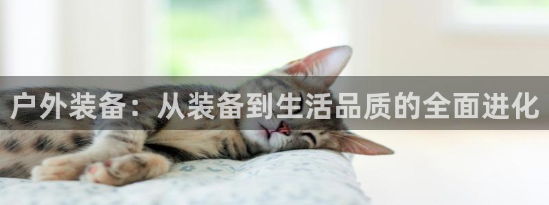 新宝gg手机app
