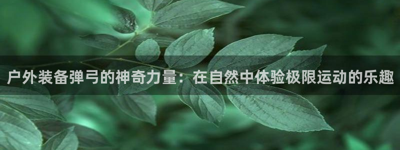 新宝gg论坛