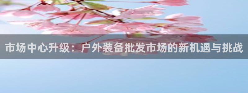 新宝gg客服