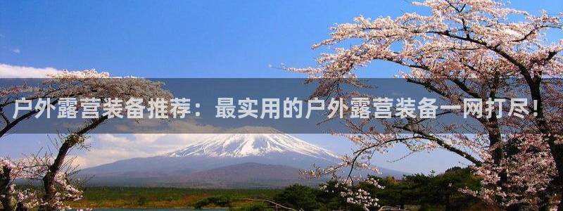 下载新宝gg