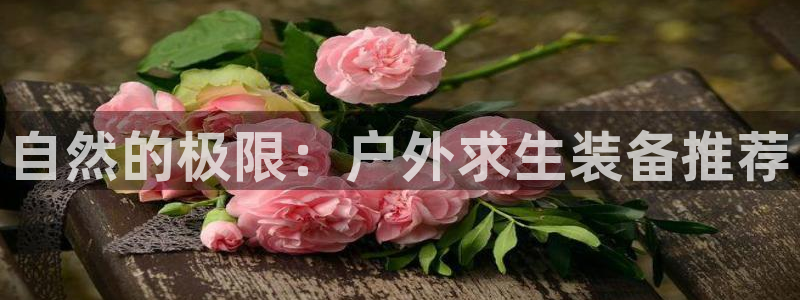 新宝gg娱乐平台