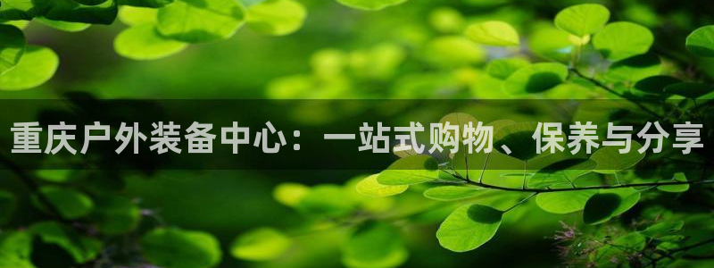 新宝GG娱乐-上皇巢网