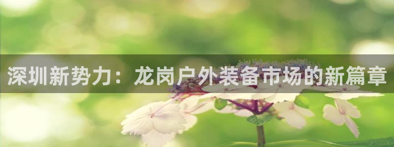 新宝gg 开户