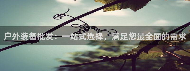 新宝gg入口网址