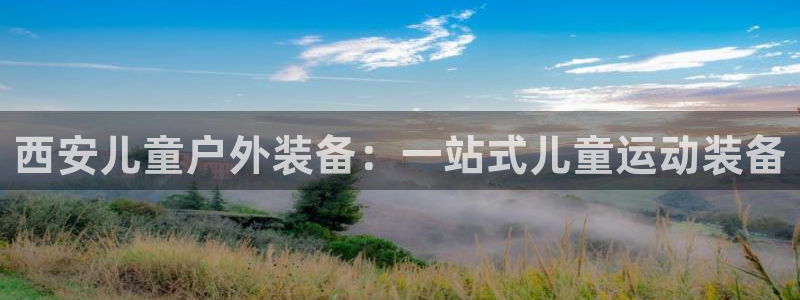 新宝gg辅助