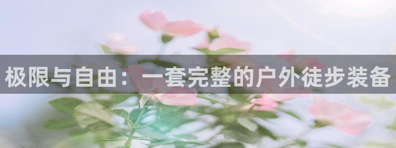 新宝gg至55312